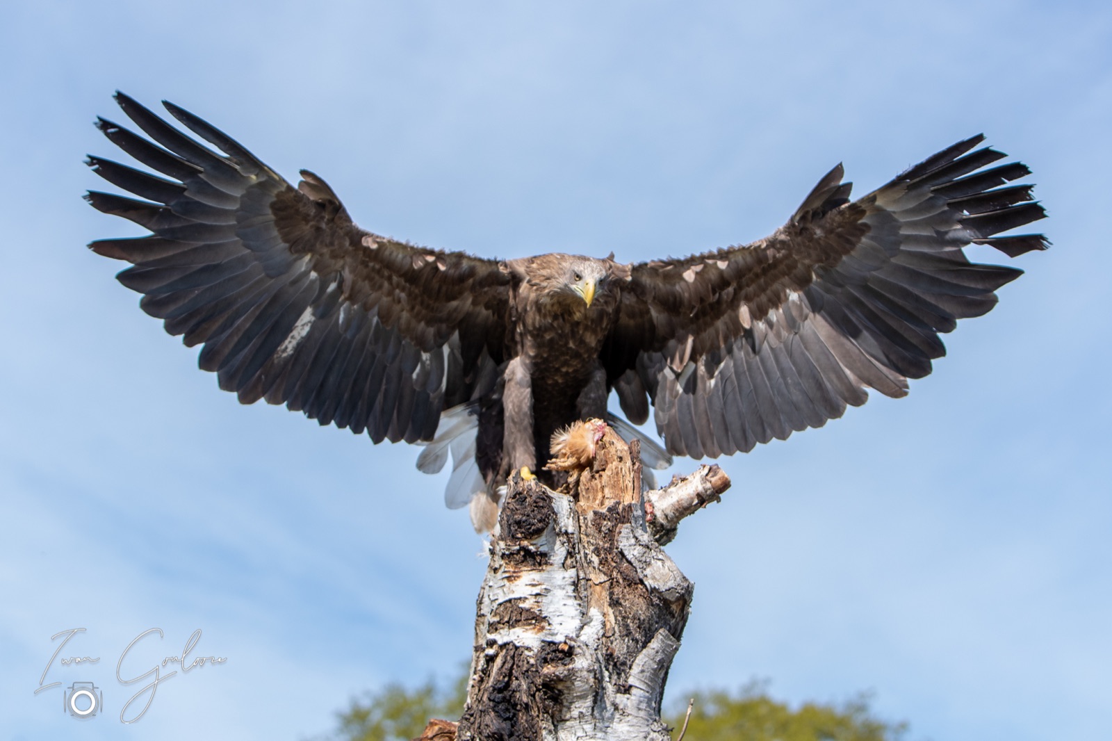 18 april 2022 120924 1DX40221